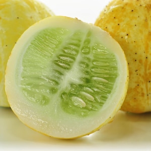 Lemon Cucumbers Seeds - Organic & Non Gmo Cucumber Seeds - Heirloom Cucumber Seeds - Fresh USA Grown Seeds - Grow Your Own Cucumbers At Home
