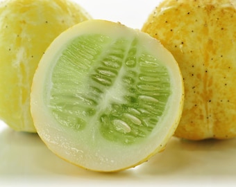 Lemon Cucumbers Seeds - Organic & Non Gmo Cucumber Seeds - Heirloom Cucumber Seeds - Fresh USA Grown Seeds - Grow Your Own Cucumbers At Home