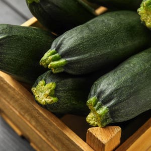 Dark Green Zucchini Seeds - Organic & Non Gmo Zucchini Seeds - Heirloom Seeds - Fresh USA Grown Seeds - Grow Your Own Zucchini At Home!