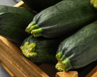 Dark Green Zucchini Seeds - Organic & Non Gmo Zucchini Seeds - Heirloom Seeds