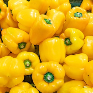 Yellow Bell Pepper Seeds - Organic & Non Gmo Pepper Seeds - Heirloom Seeds - Fresh USA Grown Seeds - Grow Your Own Peppers At Home!