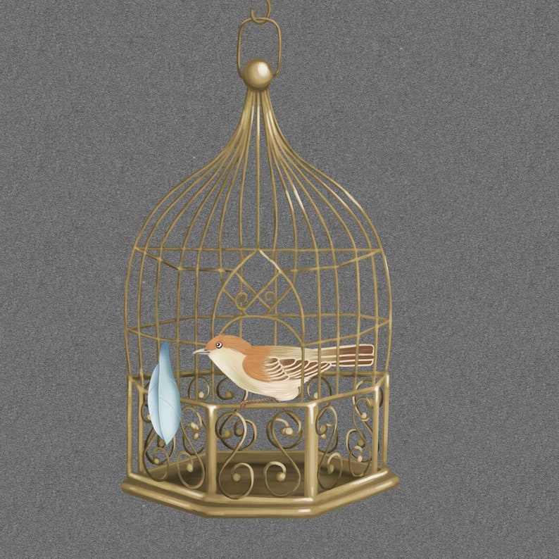 chinoiserie removable wallpaper vintage bird wallpaper chinoiserie mural sample WP030 Nauzha chinoiserie wallpaper
