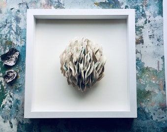 Ceramic Sculpture Framed Wall Art." Unfurl ". Hand Sculpted in a luscious white stoneware clay.