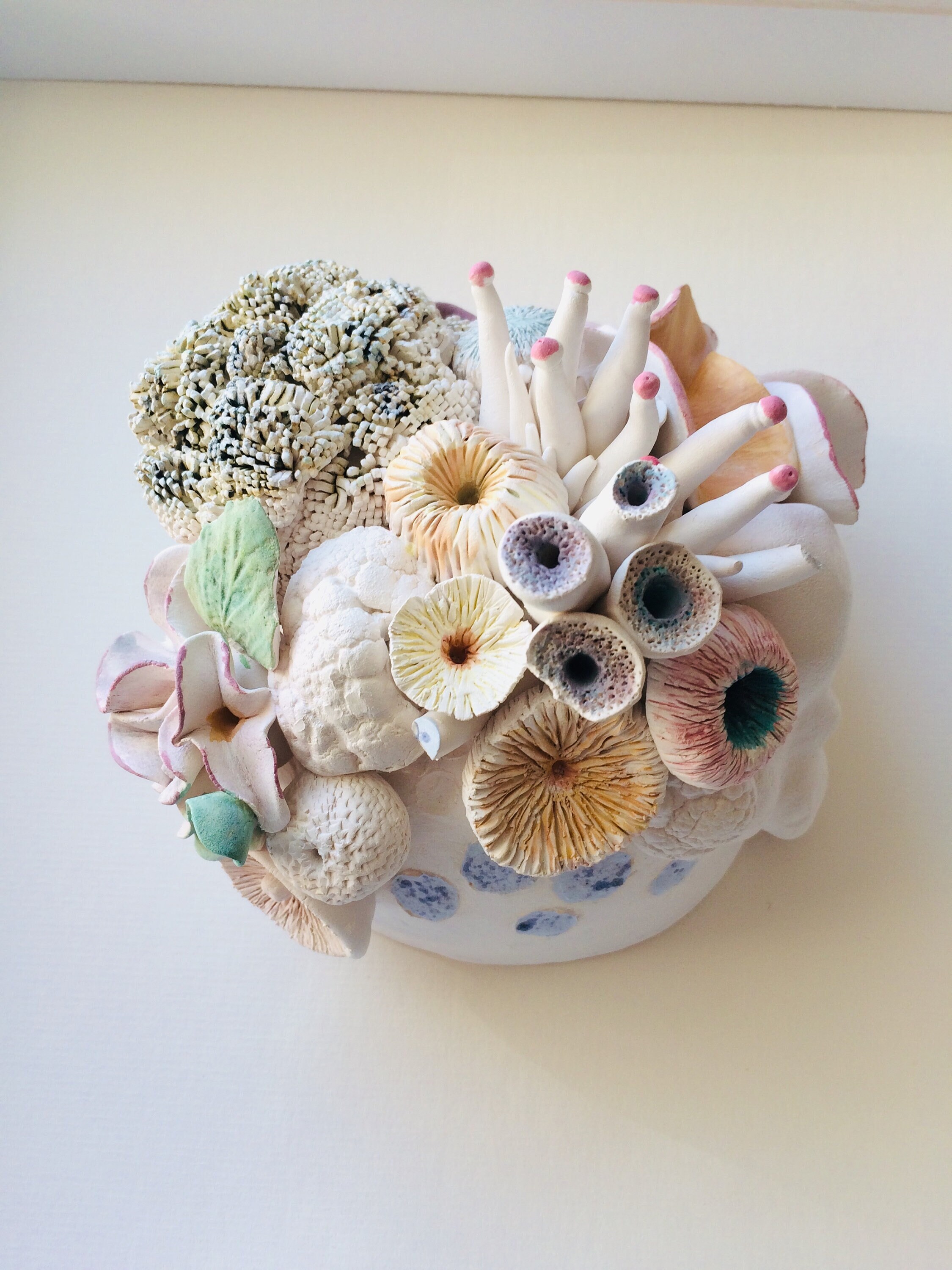 Coral Reef Ceramic Sculpture Framed Delicately Handmade Contemporary 