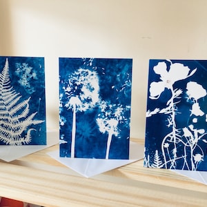 Ensemble de 3 cartes de voeux cyanotype art - intérieur vierge - fleurs sauvages irlandaises bleu botanique - cadeau pour amoureux de la nature - Burren - Claddagh