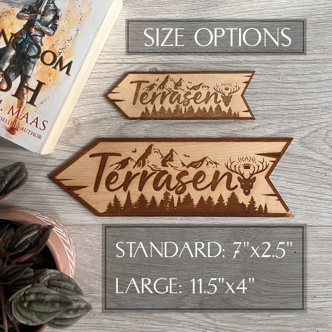 Officially Licensed ACOTAR Wooden Bookshelf Signs: SJM Velaris ...