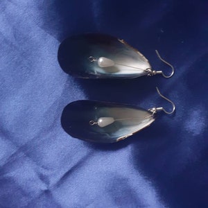 Hanging mussel shell earring