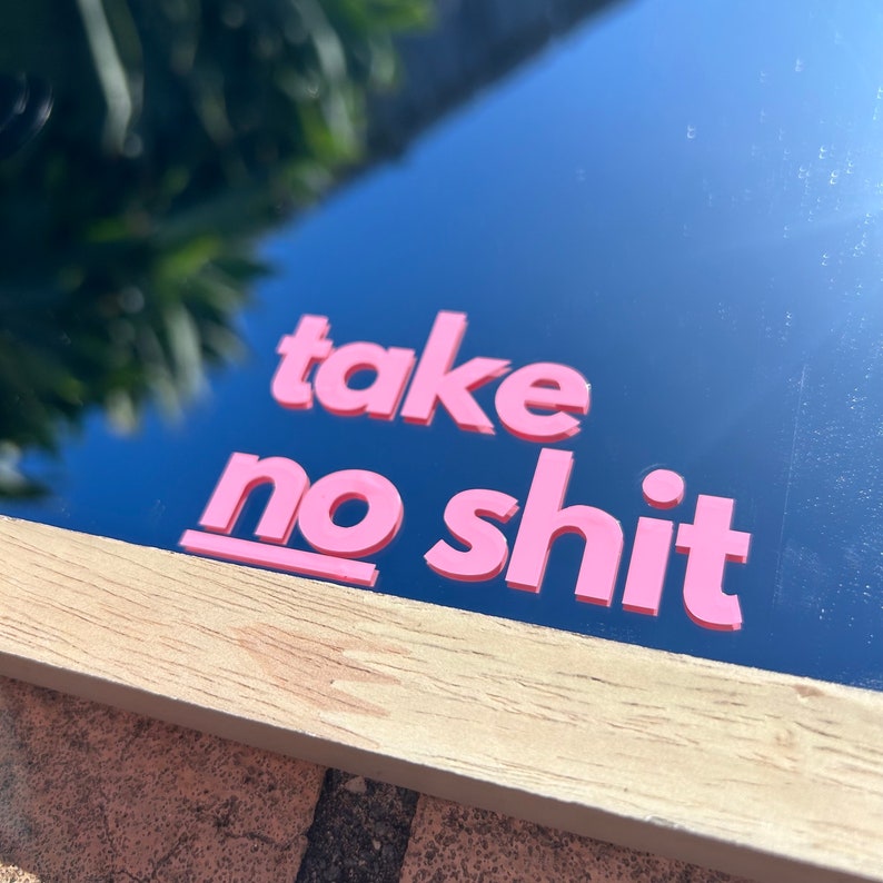 Take No Shit Decal Vinyl Sticker, Self love window mirror sticker image 2