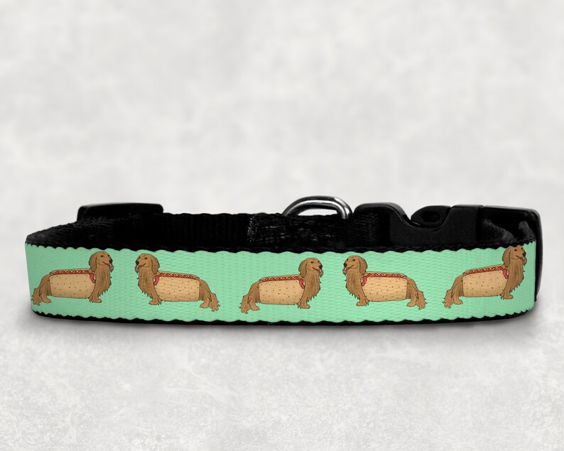 hotdog dog collar