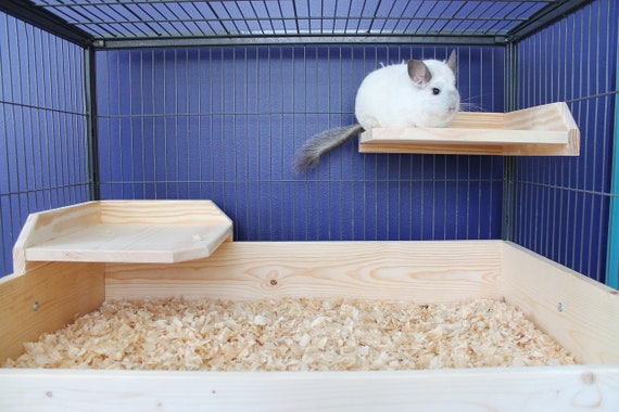Chinchilla cage accessories 2025