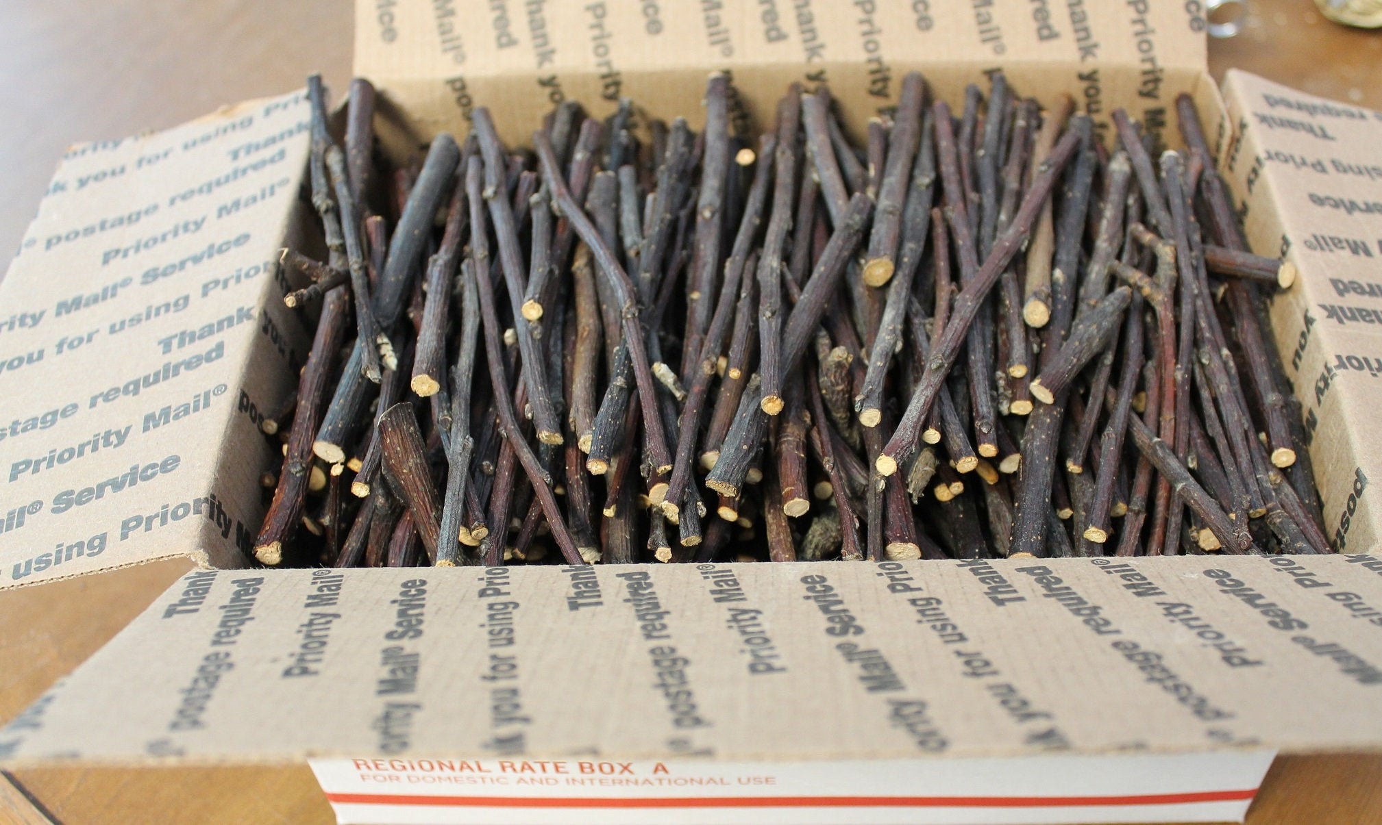Apple Wood Chew Sticks & Twigs