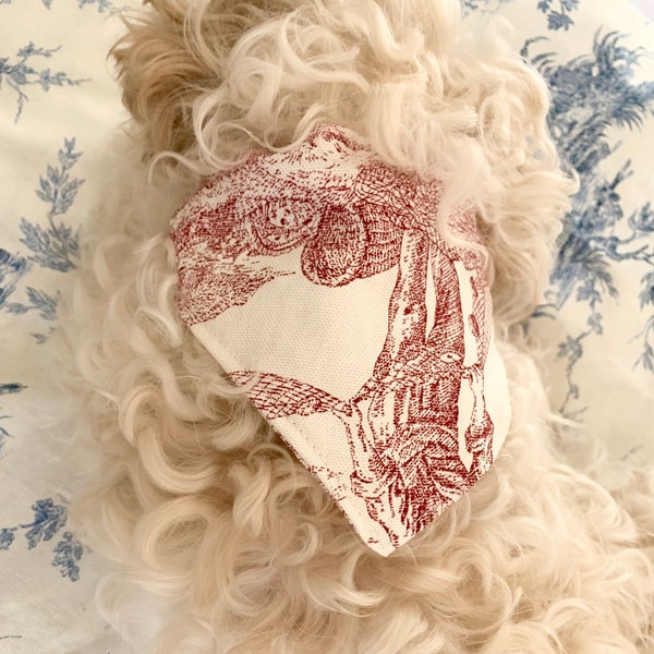 Collier et Bandana pour petit chien, en toile tressée et toile de Jouy Française