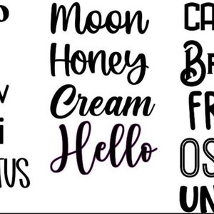 Puede incluir: Una imagen en blanco y negro con una lista de palabras en diferentes fuentes. Las palabras son: Mango, Witch, Shadow, Calibri, Eucalyptus, Moon, Honey, Cream, Hello, Caesar, Brighton, Friday, Ostrich, Unicorn.