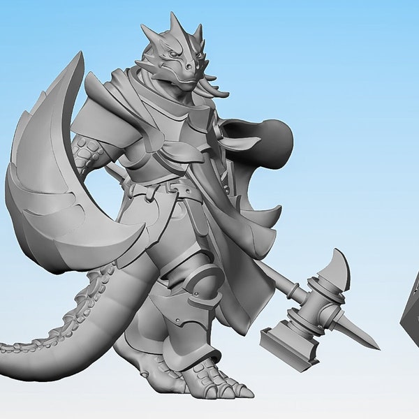 DRAGONBORN PALADIN "Shieldbreaker" | Dungeons and Dragons | DnD | Pathfinder | Tabletop | RPG | Hero Size | 28 mm