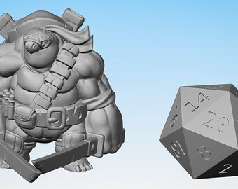 Ninja Pathfinder