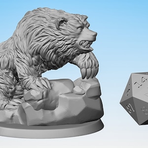 ORSO "A caccia" | Dungeon e Draghi | Italiano: Esploratore | Da tavolo | Gioco di ruolo | Dimensioni dell'eroe | 28-32 millimetri