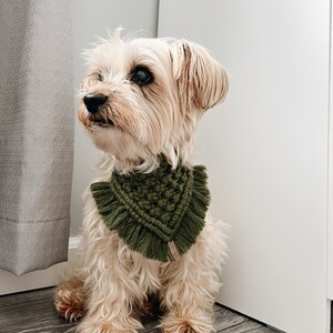 Dog bandana etsy clearance