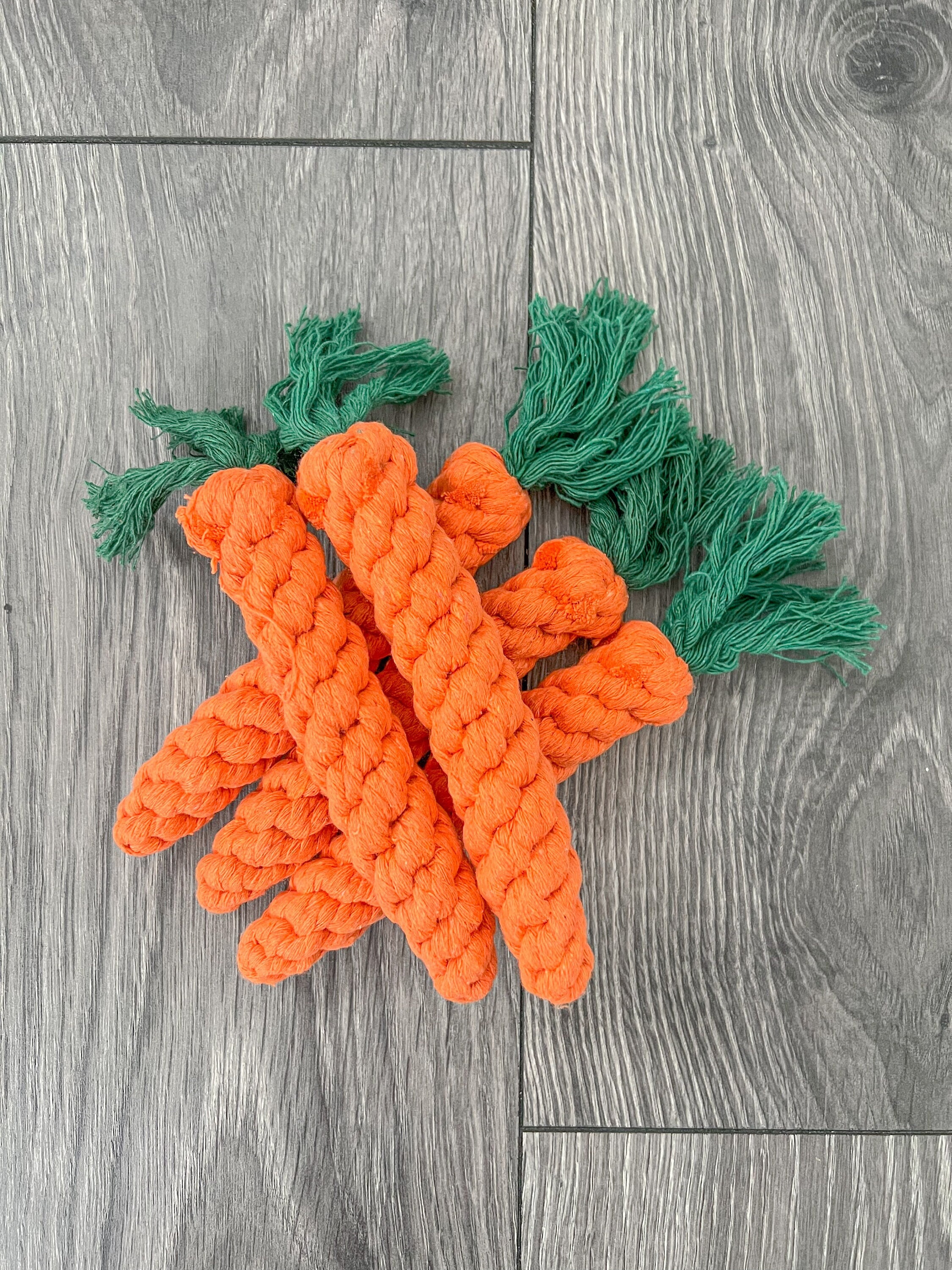 ShengShi 2Pcs Cute Plush Carrot Dog Toys Plush Squeaky Toy for Puppy Dog  Cat Smiling Carrot Chew Outdoor Play Dogs Interactive Toy