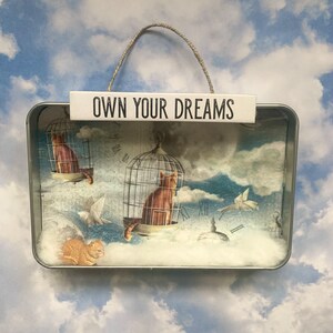 Cat Nap Altered Altoids Tin