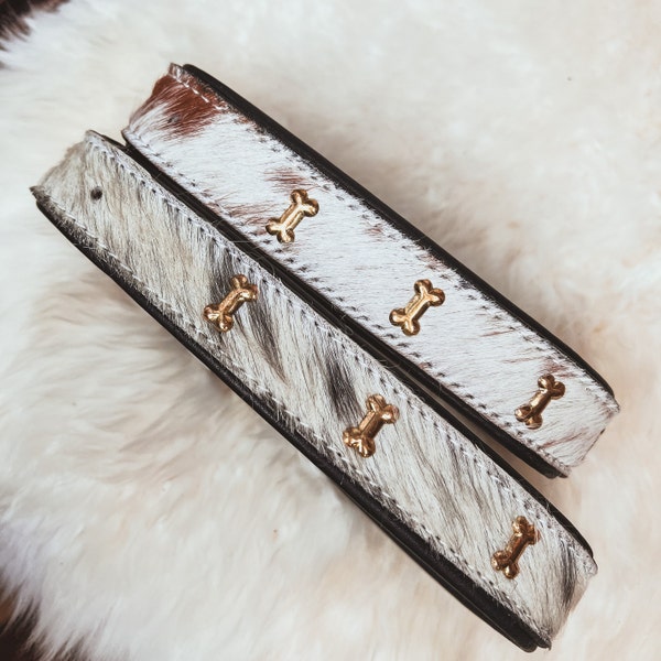 Cowhide and Leather Western Dog Collar Cow Farm Dog Show Dog Black and white or brown and white hide Gold Hardware Cow print
