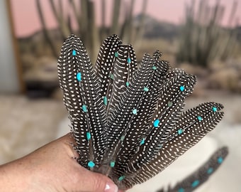 Genuine Turquoise stones on Guinea feather, Hat Feather, Decorated Hat Feather, Cowboy Hat Accessories, Cowboy Hat Feather, Natural Feather