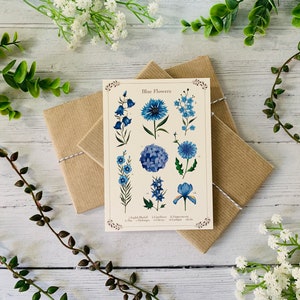 Carte postale floral bleu botanique - identification de fleur vintage - nature illustrée - carte pour notes aquarelle feuilles - carte A6 - petit art
