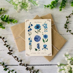 Botanical Blue Floral Postcard - Vintage Flower Identification - Nature Illustrated - Watercolour Leaves Notecard - A6 Card - Small Art