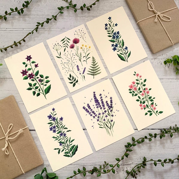 Juego de 6 postales - Colección de flores silvestres botánicas - Paquete de tarjetas de acuarela - Naturaleza ilustrada - Tarjetas de arte floral A6 - Mini impresiones
