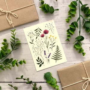 Lot de 6 cartes postales Collection botanique de fleurs sauvages Pack de cartes de correspondance aquarelle Nature illustrée Cartes d'art florales A6 Mini impressions image 4