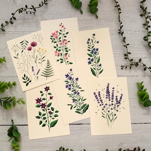 Lot de 6 cartes postales Collection botanique de fleurs sauvages Pack de cartes de correspondance aquarelle Nature illustrée Cartes d'art florales A6 Mini impressions image 2