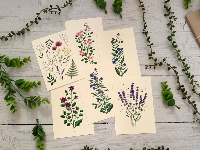 Lot de 6 cartes postales Collection botanique de fleurs sauvages Pack de cartes de correspondance aquarelle Nature illustrée Cartes d'art florales A6 Mini impressions image 2