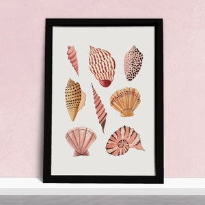 Muscheln Art Print - Küstenlandschaft Strand Muscheln Poster - Aquarell Illustration Künstlerdruck - A5, A4 oder A3