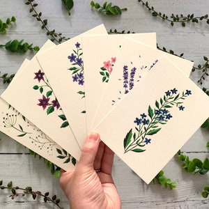 Postcard Set of 6 Botanical Wildflowers Collection Watercolour Notecards Pack Nature Illustrated A6 Flower Art Cards Mini Prints image 3