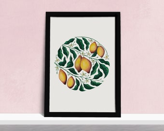 Vintage Lemon Tree Art Print - Citrus Fruit and Leaves Illustration - Botanical Watercolour Illustration - Kitchen Poster - A5, A4 or A3