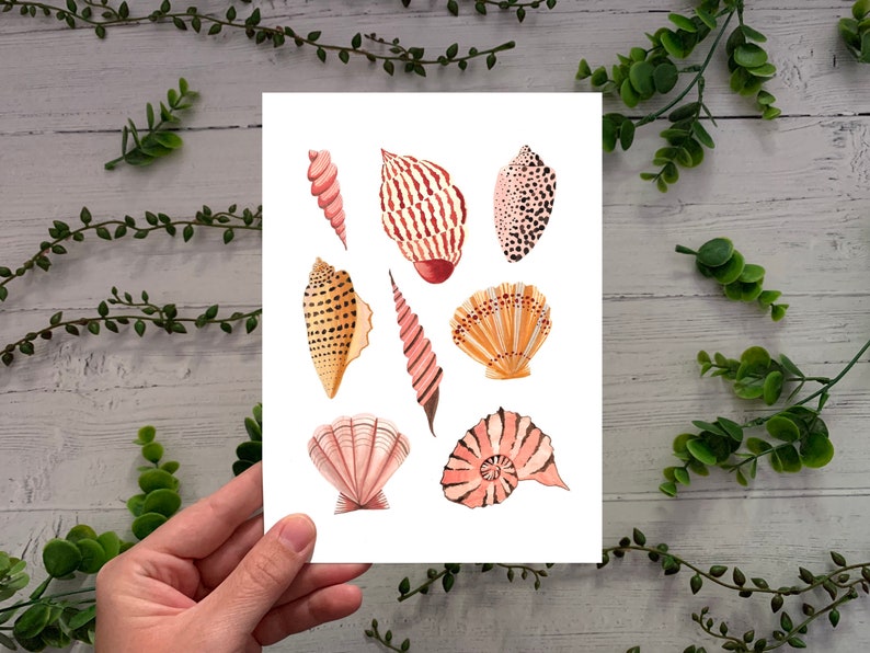 Watercolour Illustration Artists Print Seashells Art Print Coastal Beach Sea Shells Poster A5 A4 or A3
