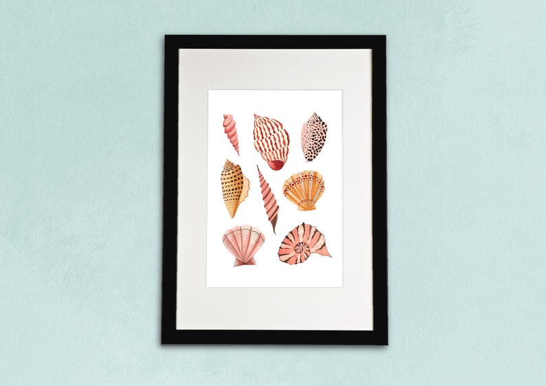 Watercolour Illustration Artists Print Seashells Art Print Coastal Beach Sea Shells Poster A5 A4 or A3