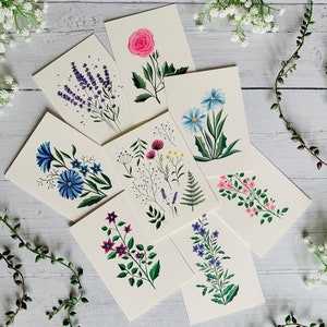Botanical Art Card Pack of 8 - Greeting Cards Multipack - Watercolour Illustrated Floral A6 Set - Botanical - Any Occasion  - Blank Inside