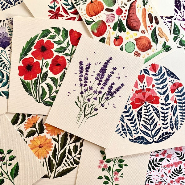 Mystery Pack Ansichtkaarten Set van 10 - Willekeurige selectie - Multipack Kunstansichtkaarten - Bloemenaquarel - Botanische illustratie - Assortiment