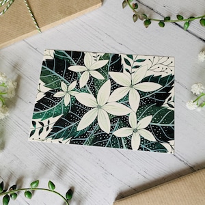 Carte postale au jasmin - Carte de fleurs de jardin - Nature illustrée - Carnet d’aquarelle - A6 Botanical White Floral Card - Petit tirage d’art