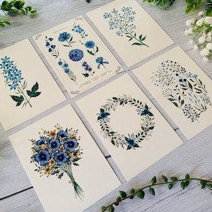 Blue Floral Postcard Set of 6 Wildflowers and Leaves Botanical Notecards Pack Nature Illustrated A6 Flower Art Cards Mini Prints image 8