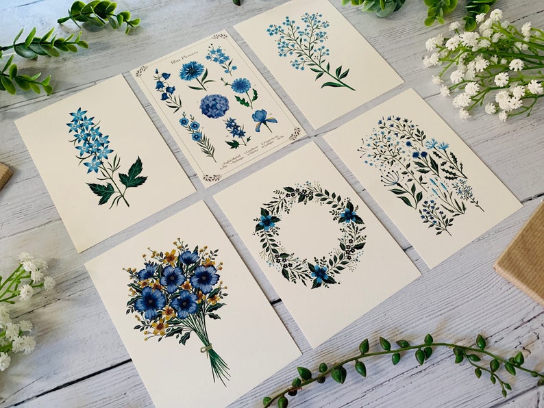 Blue Floral Postcard Set of 6 Wildflowers and Leaves Botanical Notecards Pack Nature Illustrated A6 Flower Art Cards Mini Prints image 8