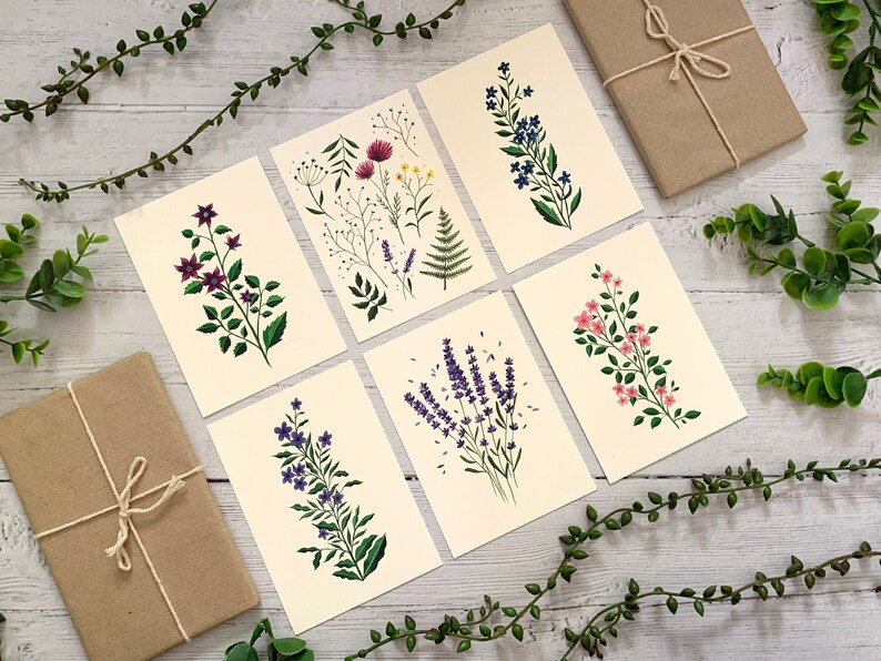 Postcard Set of 6 Botanical Wildflowers Collection Watercolour Notecards Pack Nature Illustrated A6 Flower Art Cards Mini Prints image 1