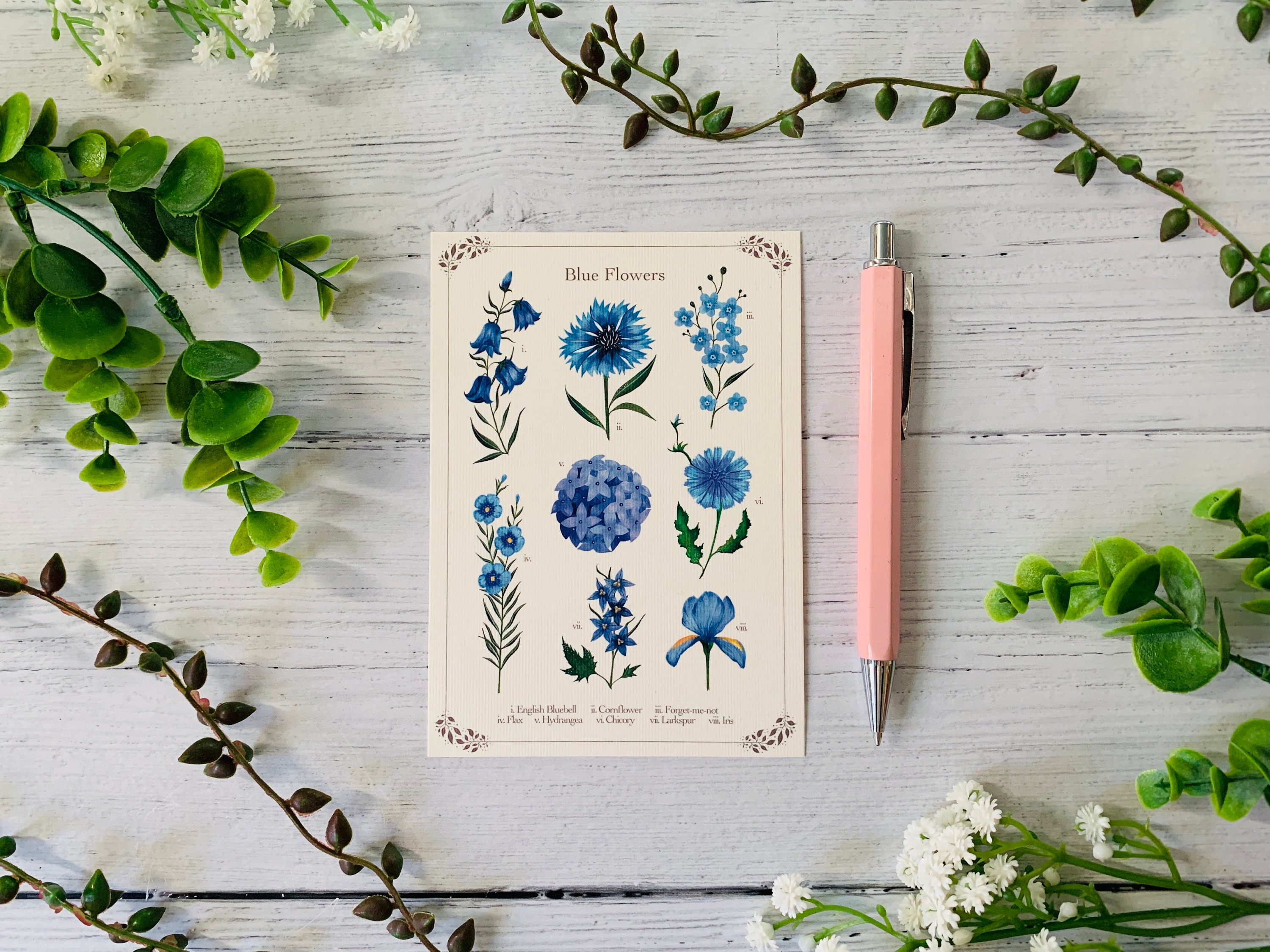 Botanical Blue Floral Postcard - Vintage Flower Identification - Nature ...