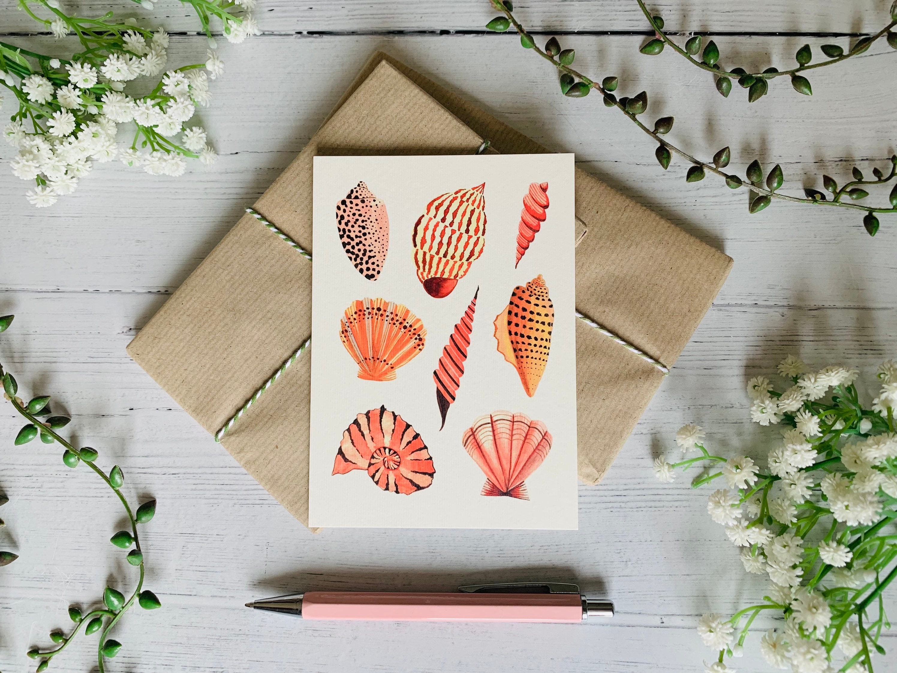 Illustration Art Mini Print Art Card Note Card Coastal Shells A6 Postcard Nature Illustrated Seashell Art Postcard