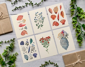 Set di 6 cartoline con conchiglie e fiori - Collezione Coastal Wildflower - Pacchetto di biglietti floreali ad acquerello - Illustrati - Cartoline artistiche A6