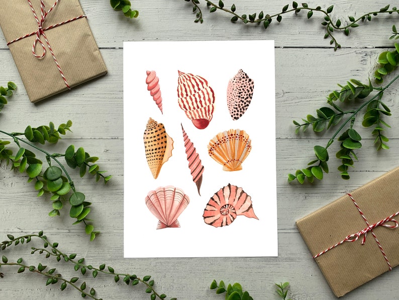 Watercolour Illustration Artists Print Seashells Art Print Coastal Beach Sea Shells Poster A5 A4 or A3