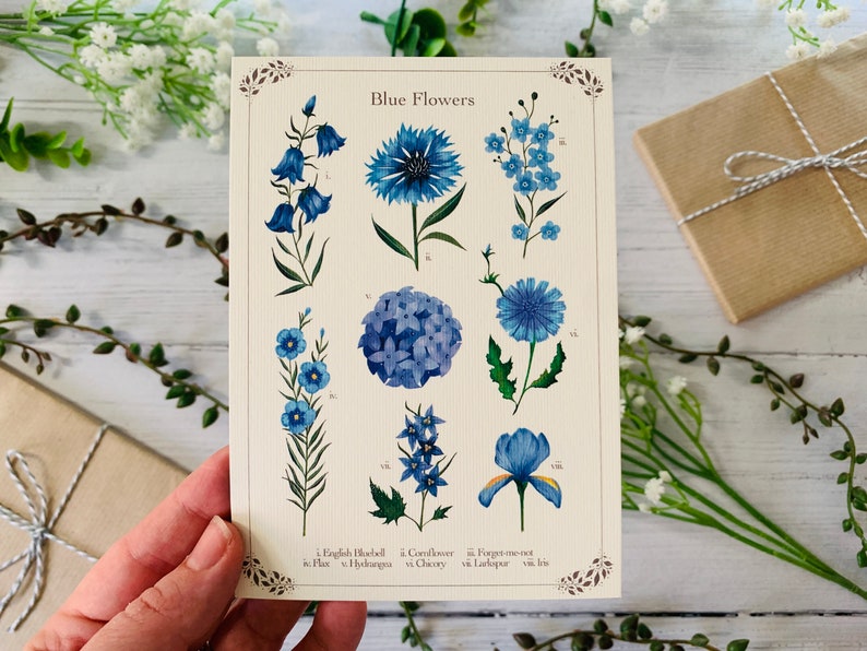 Blue Floral Postcard Set of 6 Wildflowers and Leaves Botanical Notecards Pack Nature Illustrated A6 Flower Art Cards Mini Prints image 2