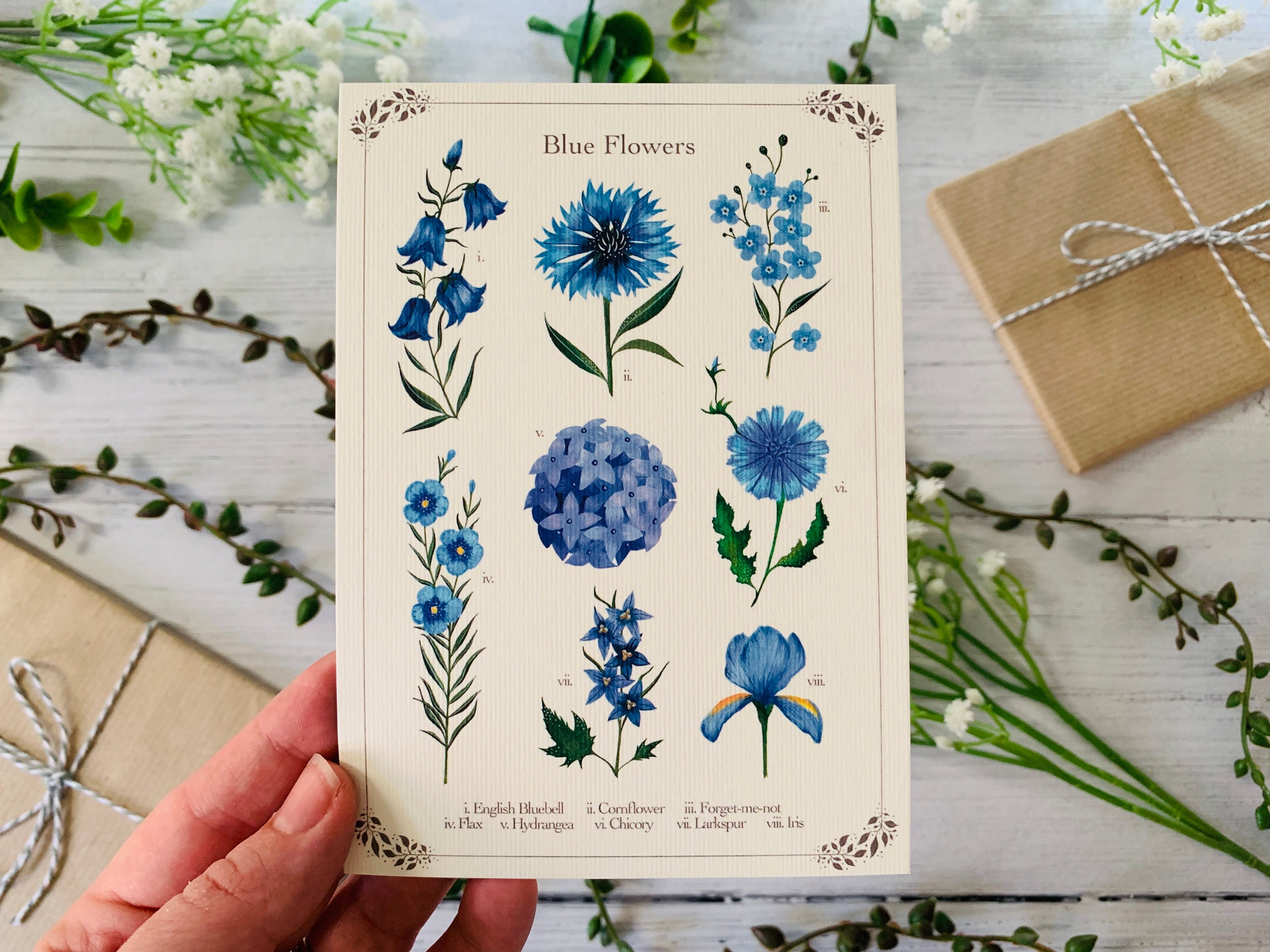 Blue Floral Postcard Set of 6 - Wildflowers and Leaves - Botanical ...