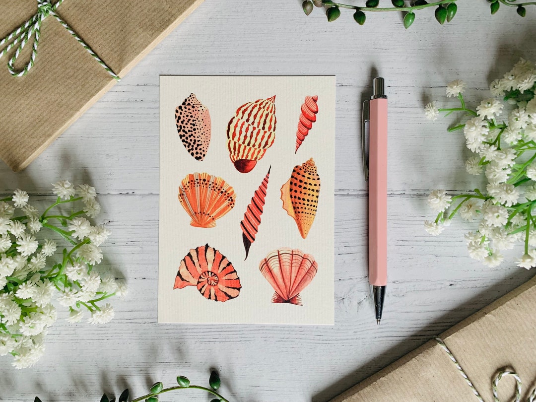 Shell Postcard Seashells Art Postcard - Coastal Shells Illustration - Nature ...