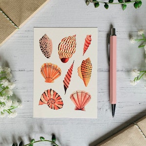 Muscheln Kunst Postkarte - Küstenmuscheln Illustration - Natur illustriert - Aquarell Grußkarte - A6 Seaside Beach Karte - Kleiner Kunstdruck